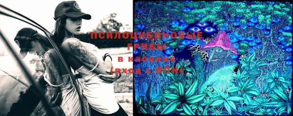синтетический гашиш Абинск