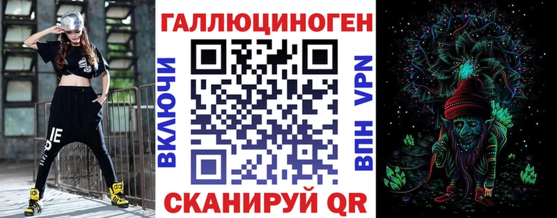 где продают   Ак-Довурак  Галлюциногенные грибы Psilocybine cubensis 