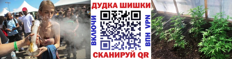 Бошки Шишки Amnesia  Ак-Довурак 